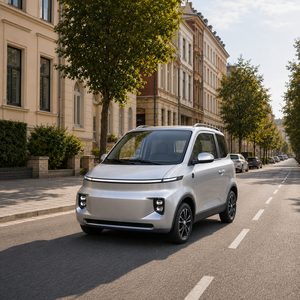 Nouvelle micro-voiture électrique L7e 3 portes 4 places 2026, 80 km/h, mini véhicule électrique haut de gamme avec EEC COC pour concessionnaires - Product Image 2