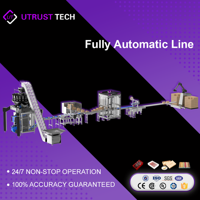After-sales Support Parallel Robot Full Automatic Packaging Line