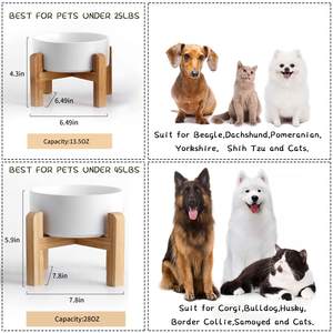 Ciotola di alimentazione per animali domestici con gomma antiscivolo per gatti 28 OZ ruggine bianco elevato in ceramica ciotola per gatti cane cibo piatto d'acqua con supporto - Product Image 3