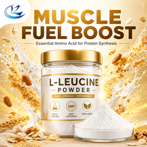 Poudre de Léucine de Haute Qualité Marque Renze 99% <span class=keywords><strong>Pure</strong></span> Additif Alimentaire Naturel Améliorateur Nutritionnel Durée de Conservation de 2 Ans Approvisionnement en Vrac - Product Image 3
