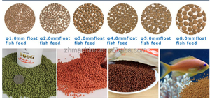 Linea di Produzione per Mangimi Galleggianti per Pesci e Animali, Estrusore e Pelletizzatore - Product Image 3