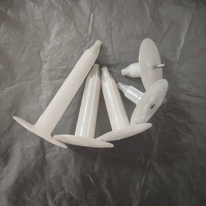 Externe Muurisolatie Board Fixatie: 20-250Mm Hdpe Isolatie Nagels, Isolatie Bevestigingsmiddelen, Isolatie Paddestoel Nagels - Product Image 1