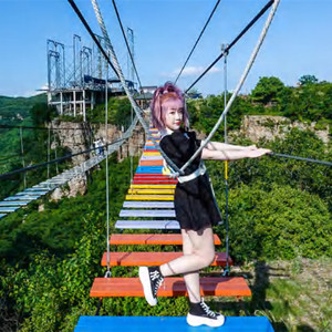 他の遊園地製品屋外遊び場アドベンチャーパークスリリングスカイライドサスペンションブリッジ - Product Image 2