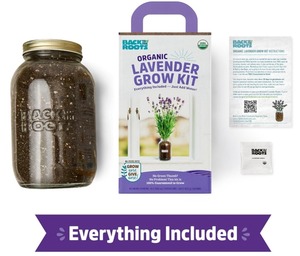 Retour à Roots Kit de culture de pot de <span class=keywords><strong>lavande</strong></span> toute l'année Jardinière de rebord de fenêtre pour jardin intérieur/extérieur Culture de plantes - Product Image 2