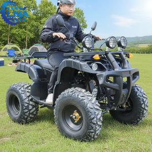 <span class=keywords><strong>ATV</strong></span> para Adultos con Transmisión Automática LNA de 250cc, Ideal para Principiantes, <span class=keywords><strong>Alquiler</strong></span> Turístico - Product Image 3
