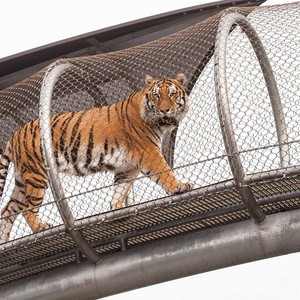 Zoo-Cụ Thể Sinh Thái Lưới/Tiger Bao Vây Lưới/Tay-Dệt Thép Không Gỉ Dây Lưới - Product Image 4