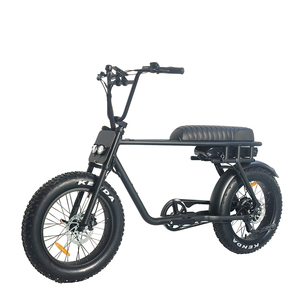 Bicicleta Eléctrica Urbana de 36v250w con Transmisión por Correa, 20 Pulgadas, Sensor de Torque, Neumático Grueso, Una Velocidad, para Pasajeros - Product Image 1