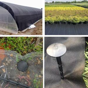 Al por mayor: Estacas de plástico para suelo con película de fijación, para jardín, invernadero, tela antihierbas, parasol y red antimosquitos - Product Image 6