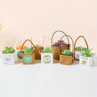 Sac d'emballage personnalisé pour cactus, emballages pour plantes succulentes, boîte cadeau pour plantes avec poignées en plastique
