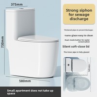 WC monobloc en céramique de Chaozhou, à poser au sol, pour petits espaces, à siphon, double chasse, silencieux, anti-éclaboussures, anti-odeurs, idéal pour la maison