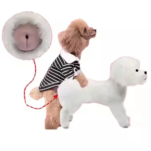 Jouet de reproduction pour <span class=keywords><strong>chien</strong></span> mâle en plastique, jouet sexuel pour <span class=keywords><strong>chien</strong></span> femelle, poupée gonflable sonore pour le confort des animaux de compagnie femelles - Product Image 2