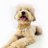 DIY Personalisiertes Namens-Hundehalsband - Weiches, Bequemes, Verstellbares Kunststoff- & Leder-Perlenhalsband mit Individuellem Buchstaben-Design für Partys