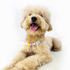 Collare <span class=keywords><strong>per</strong></span> <span class=keywords><strong>Cani</strong></span> Personalizzato Fai-da-Te - Morbido, Comodo e Regolabile in Plastica e Pelle <span class=keywords><strong>con</strong></span> Perline, Design <span class=keywords><strong>con</strong></span> Lettere Personalizzate <span class=keywords><strong>per</strong></span> Feste - Product Image 3