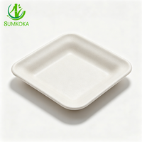 Assiettes carrées SUMKOKA de 10 pouces, conteneur d'emballage alimentaire biodégradable, assiette jetable pour mariage