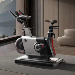Vente en gros de vélo de spinning d'exercice nouveauté équipement sportif à usage commercial vélo de spinning magnétique à domicile avec application YPOOFIT