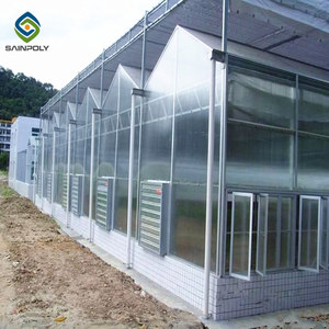 Sainpoly serre agricole polycarbonat gewächshaus hydrokultur gewächshaus von china - Product Image 3
