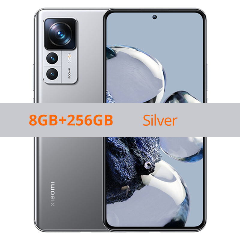 8+256GB silver