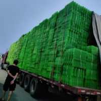 Grille de pavage perméable en nid d'abeille en HDPE recyclé pour la protection des pentes, les chemins piétonniers et les projets d'aménagement paysager municipal
