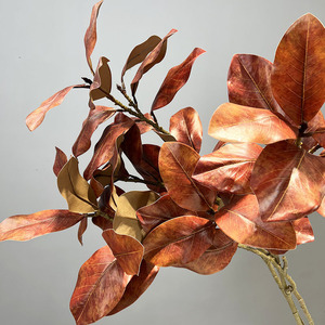 Pabrik grosir hijau tanaman buatan cabang bunga untuk dekorasi dalam ruangan tatanan bunga daun pohon pertunjukan alami - Product Image 5