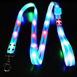 Ensemble de collier et de laisse réglables de sécurité nocturne - Product Image 3