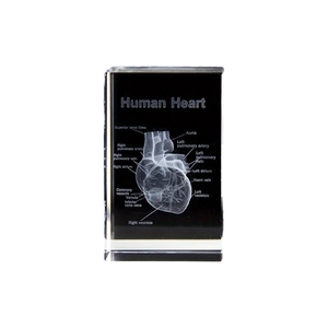 JINCUI personalizado K9 cristal 3D corazón humano modelo grabado láser hogar Oficina decoración tallada grabado cardiología regalo trofeo - Product Image 4
