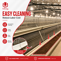 Cage d'élevage de poussins de type A haute densité avec cadre galvanisé durable pour l'équipement d'élevage de poulets de ferme avicole – Fabricant