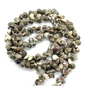Hot Sale Natural Seashell Small Shell Conch and Cowrie Beads Strand for Handmade DIY Jewelry Bracelet Necklace for women