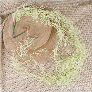 Simulation Tenture Murale Vieil Homme Barbe Homestay Décoration Rotin Feuilles Fond Disposition Murale Plantes Vertes - Product Image 6