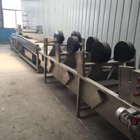 Automatische Fruitgroenten Tamato Wassen Reinigings-En Sorteermachine Kleine Verwerkingsfabriek Tomatenpuree Productielijn