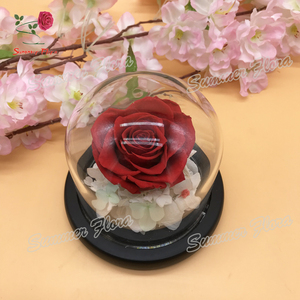 Bellezza secchi fiori freschi conservati cupola di vetro rosa <span class=keywords><strong>regali</strong></span> speciali romantico <span class=keywords><strong>san</strong></span> <span class=keywords><strong>valentino</strong></span> <span class=keywords><strong>regali</strong></span> per sempre fiore immortale - Product Image 6