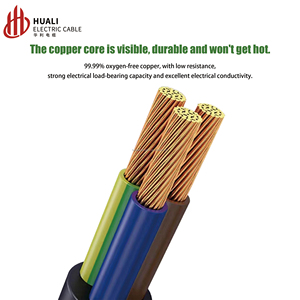 สายไฟทองแดงบริสุทธิ์มาตรฐานอังกฤษพร้อมปลั๊ก (ปลั๊กสามขา, สายหัวเดียว), 0.75-11.5ตารางมิลลิเมตร, 1เมตร/<span class=keywords><strong>2</strong></span>เมตร/<span class=keywords><strong>3</strong></span>เมตร - Product Image 3