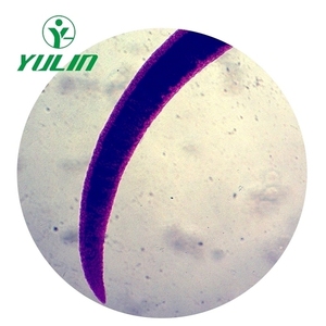 Vetrini per microscopio preparati per parassitologia rara verniciati professionali vetrini didattici di vendita calda in set di diapositive per biologia universitaria - Product Image 2