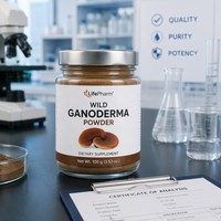 Poudre de Reishi Sauvage Naturelle Lyophilisée LP-22 pour le Soutien Immunitaire, Extrait Pur de Ganoderma Sauvage Premium 100% Brut