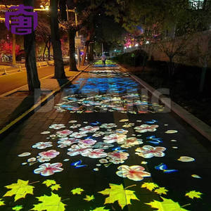 Proyección Interactiva 3D con Mapeo de Iluminación LED Impermeable IP65 para Publicidad, Parques Temáticos y Proyectos de Iluminación Escénica en Exteriores - Product Image 5