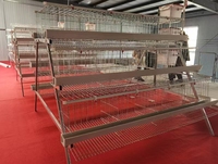 Indonésie Philippines 1000 poules, ferme avicole, une porte, un poulet