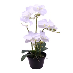 2025 Polyester Artificiel Phalaenopsis/Cymbidium Plante Pot Graduation Noël Nouvel An Pâques Halloween Décorations 47CM x 27CM - Product Image 1