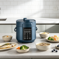 Mini-cuiseur à pression électrique 1,6 L compact multifonction pour la maison