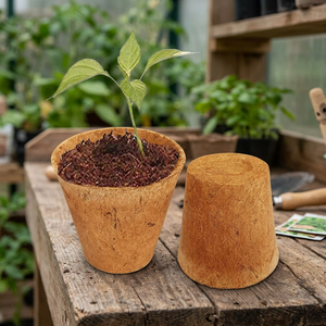 Vente en gros Eco2go Vietnam, pot à fleurs en bois écologique, durable, léger, avec doublure naturelle, pour la plantation et la décoration du jardin - Product Image 1