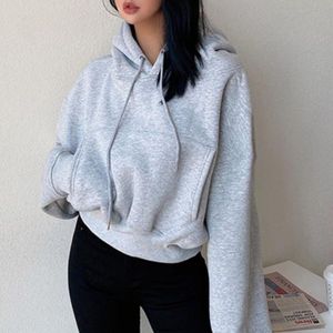 Sudadera con Capucha para Mujer, Manga Larga, Otoño Invierno, Ropa de Calle, Logotipo con Transferencia Térmica, OEM - Product Image 4