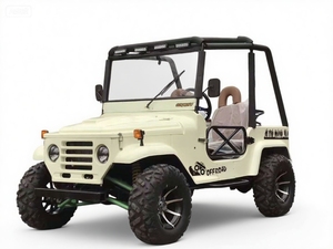 Oferta Caliente: Popular Vehículo Todoterreno Jeep de 250cc para Adultos, Coche de Club con 2/4/6 Asientos, Certificado CE, 2 Años de Garantía, Fabricado en China para Negocios - Product Image 5