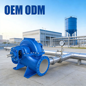 Custom Double Suction Centrifugal <b>Water</b> <b>Pump</b> - SH Series Horizontal Split Case <b>Pump</b> for Industrial Use - Product Image 3