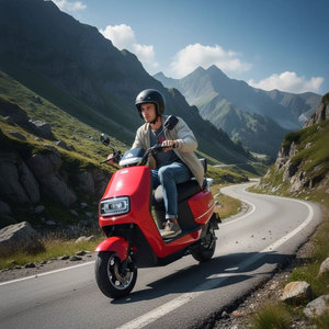 Электрический мотоцикл для взрослых напрямую с завода, 1000 Вт, бесщеточный двигатель, 12-дюймовые шины, стальная рама, макс. скорость 40-50 км/ч - Product Image 5