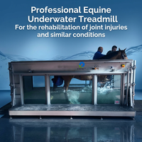 Tapis roulant aquatique pour chevaux EUR VET à prix avantageux, machine d'exercice équine, système d'hydrothérapie équine