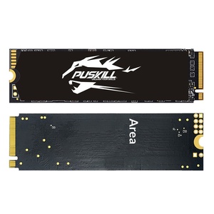 Puji M.2 NVMe Dahili 2.5" Masaüstü Katı Hal Sürücüsü 256G/512G 3000MB/s Okuma Hızı 2500MB/s Yazma Hızı Sınır Ötesi Toptan Satış - Product Image 1