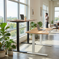 Table d'ordinateur en bambou de qualité supérieure, réglable en hauteur, bureau en bambou massif, bureau debout Ecomax