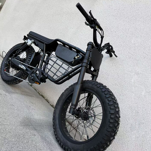 Bicicleta Eléctrica de Alta Calidad 2025, 500W-1500W, Super Absorbentes, Modelo 73, para Montaña, Nieve y Playa, con Velocidad Máxima de 50-60 km/h - Product Image 3