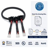 Personnalisation OEM : Divers faisceaux de câblage LED avec télécommande pour la modification des faisceaux de phares de croisement et de route pour voitures et motos