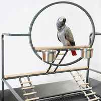 Cage d'élevage d'oiseaux confortable avec attrape-graines, volière en fer écologique, maison pour animaux à motif animal, plateau en plastique 80x58x170cm