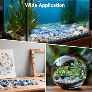 Coquillages concassés <span class=keywords><strong>de</strong></span> 1 à 3 mm, copeaux <span class=keywords><strong>de</strong></span> coquillages marins pour la décoration intérieure, l'artisanat, le remplissage <span class=keywords><strong>de</strong></span> vases, l'aménagement paysager moderne, le terrazzo, <span class=keywords><strong>les</strong></span> fêtes et <span class=keywords><strong>les</strong></span> mariages - Product Image 6