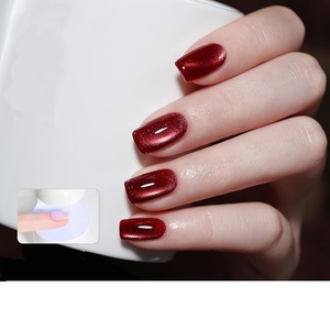 Jelly Red Glitter Cat Eye <b>Gel</b> <b>Nail</b> Polish <b>Set</b> with Magnet 6 Types of Holographic Cat Eye, Salon - Product Image 1